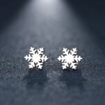 Aretes De Copo De Nieve